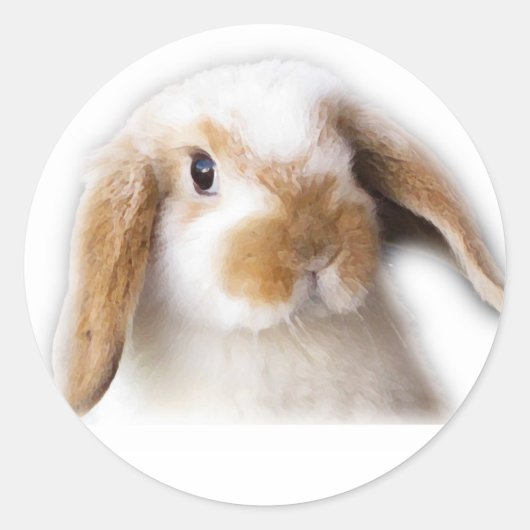 Holland Lop Sticker (Voorkant)