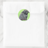 Holland Lop Stickers (Tas)