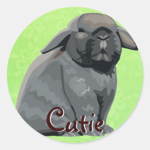 Holland Lop Stickers
