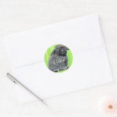 Holland Lop Stickers (Envelop)
