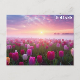 Holland Nederland Nederlandse Tulpen Reisfoto Briefkaart