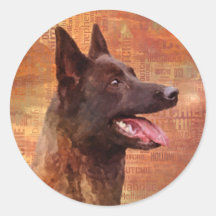 Hollandse Herder - Hollandse Herdershond