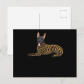 Hollandse Herdershond Dutch Shepherd Dog Briefkaart (Voorkant / Achterkant)