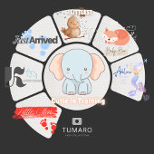 Holle Babyvoetjes Romper
