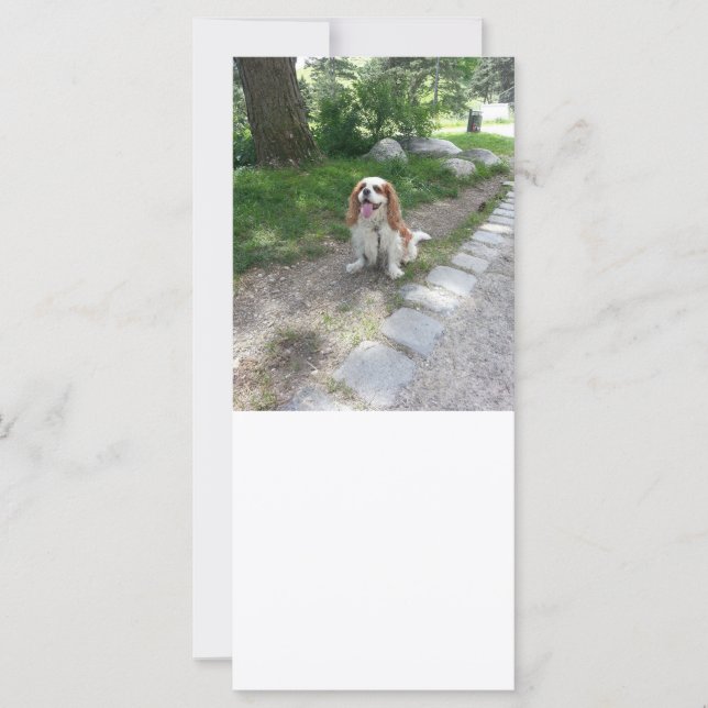 holle zitting (Voorkant)