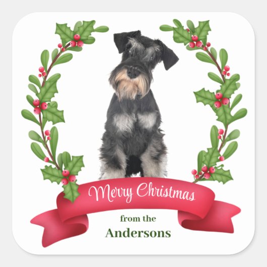 Holly Banner Miniature Schnauzer Dog Kerstmis Vierkante Sticker (Voorkant)