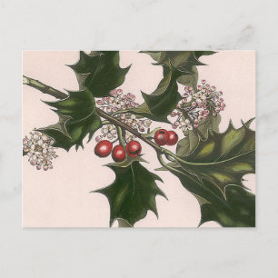 holly berrie briefkaart