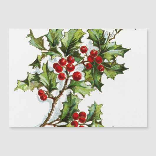 Holly Berries20150802 (Voorkant)
