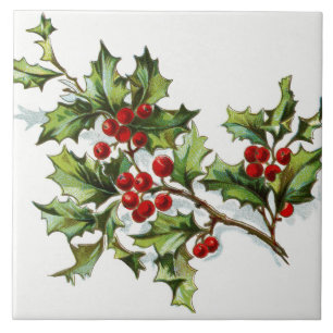 Holly Berries20150802 Tegeltje