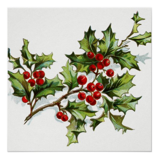 Holly Berries 001 Perfect Poster (Voorkant)