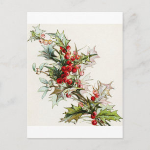 Holly Berries 004 Briefkaart