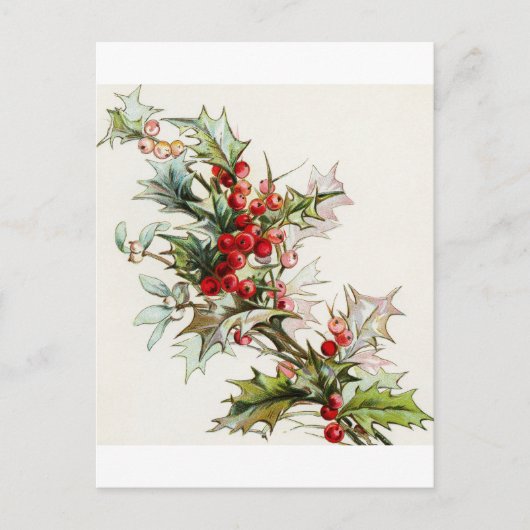 Holly Berries 004 Briefkaart (Voorkant)