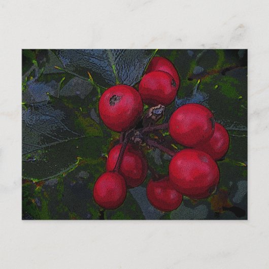 Holly Berries Briefkaart (Voorkant)