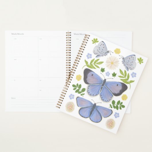 Holly Blue Butterfly Planner (Display)