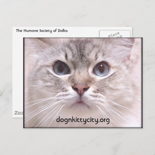 Holly Briefkaart (Voorkant / Achterkant)