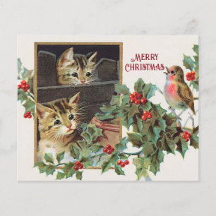 Holly Cats en Bird Kerstvakantie