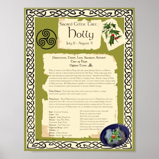 HOLLY CELTIC SACRED TREE POSTER (Voorkant)
