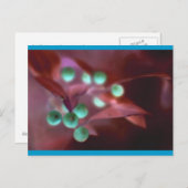 Holly Feestdagenkaart (Voorkant / Achterkant)