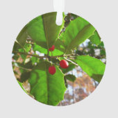 Holly Feuilles II Vacances Nature Botanique (dos)