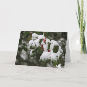 Holly in verse sneeuw, blanco kaart, gebruik voor feestdagen kaart
