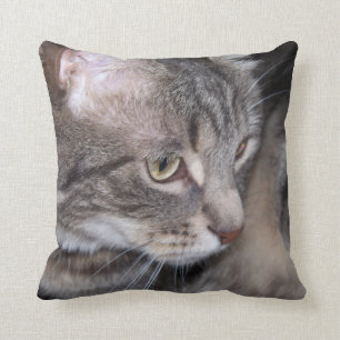 Holly is Thouful Pillow Kussen