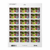 Holly Leaf and Berries Ornament Gift Labels (Full Sheet)