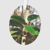 Holly Leaves (devant)