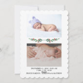 Holly Leaves Birth koninklijke kerst | Foto Feestdagenkaart (Achterkant)