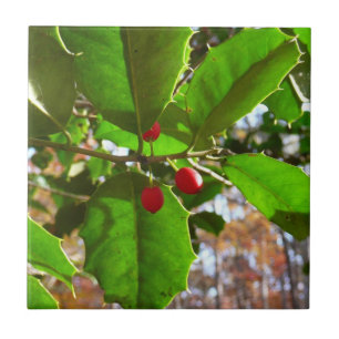 Holly Leaves II Holiday Natuur Botanisch Tegeltje