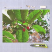 Holly Leaves II Holiday Natuur Botanisch Tissuepapier (Craft)
