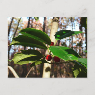 Holly left I Holiday Botanical Feestdagenkaart