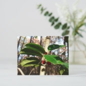 Holly left I Holiday Botanical Feestdagenkaart (Staand voorkant)