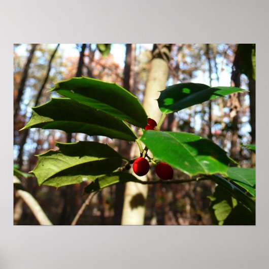 Holly left I Holiday Botanical Poster (Voorkant)