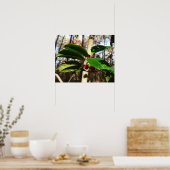 Holly left I Holiday Botanical Poster (Keuken)