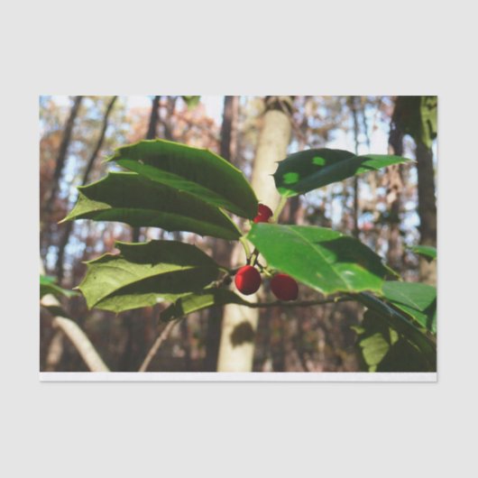 Holly left I Holiday Botanical Tissuepapier (Voorkant)