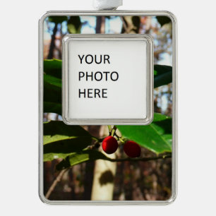 Holly left I Holiday Botanical Verzilverd Kader Ornament