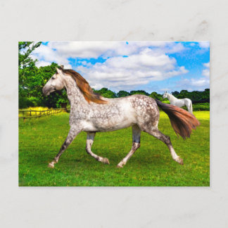 "Holly On the Move"-Briefkaart Briefkaart