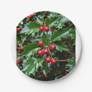 Holly papier borden papieren bordje