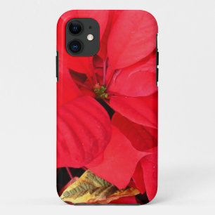Holly Point Poinsettias Kerstfeestdag Floral iPhone 11 Hoesje