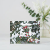 Holly Struik 2007 Briefkaart (Staand voorkant)