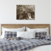 Holly Tree - Sepia Canvas Afdruk (Insitu (Slaapkamer))