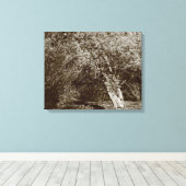 Holly Tree - Sepia Canvas Afdruk (Insitu (Houten vloer))