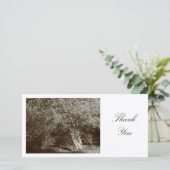 Holly Tree - Sepia - Merci (Debout devant)