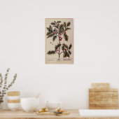 Holly uit 'A Curious Herbal', 1782 Poster (Keuken)