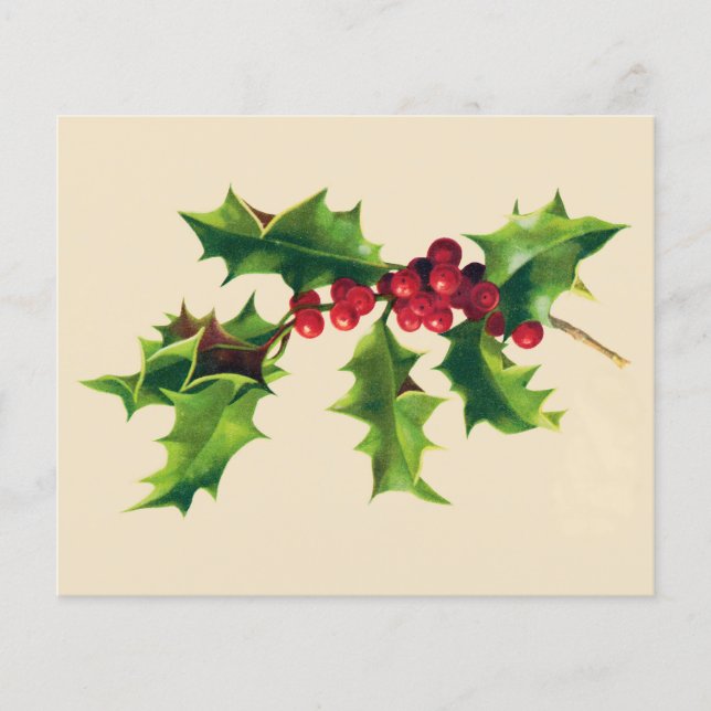   Holly-vestiging (Voorkant)