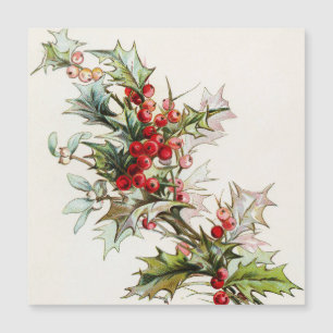 HollyBerries