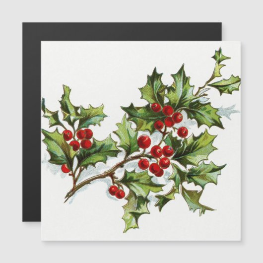 HollyBerries 001 (Voorkant / Achterkant)