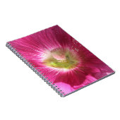 Hollyhock Carnet rose profond (Côté Droit)