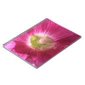 Hollyhock Carnet rose profond (Côté gauche)