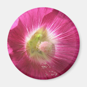 Hollyhock Deep Pink Magnet Magneet